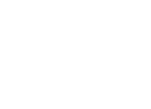 dinner plate illustration